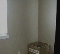 喵星人搞笑动图 喵星人搞笑动图