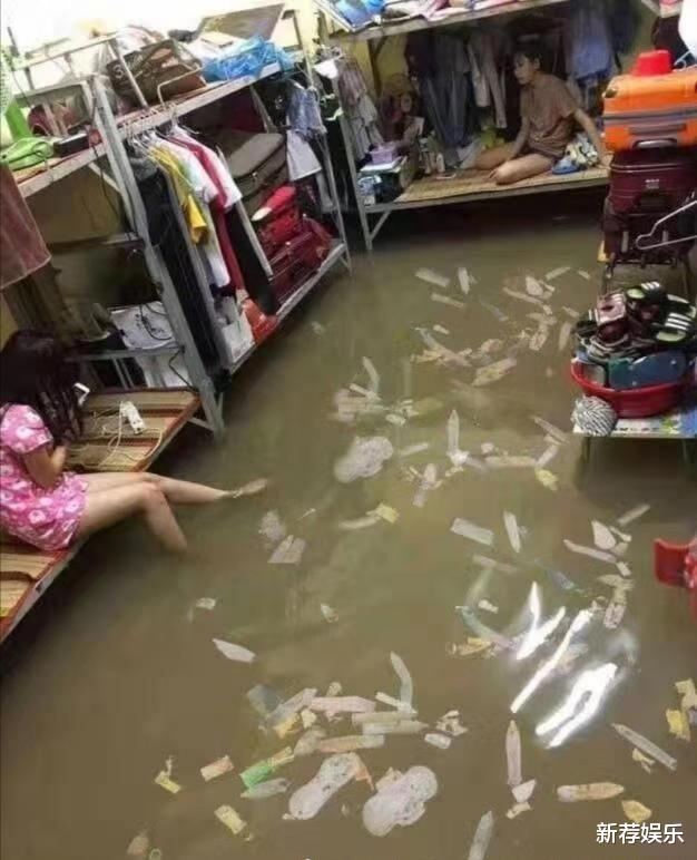 “今天插秧抓到的牛蛙,哎呀妈呀,真香!”哈哈哈~大哥你还活着吗?! “今天插秧抓到的牛蛙,哎呀妈呀,真香!”哈哈哈~大哥你还活着吗?!
