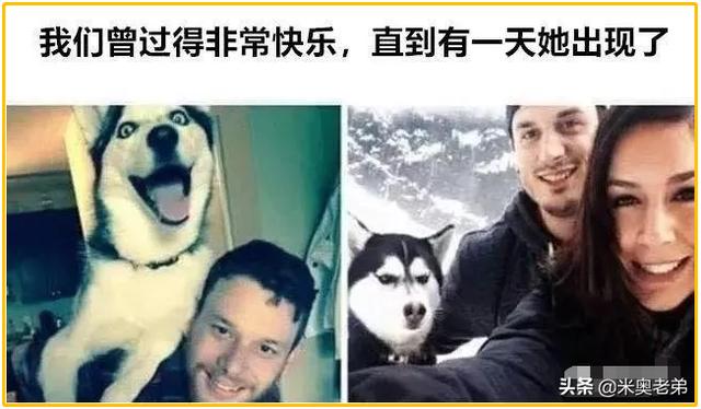 每日一笑：这是我见过智商最低的小偷了，你起码换身衣服再来吧