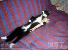 在这个看脸的时代 在这个看脸的时代