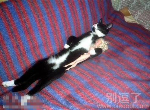 在这个看脸的时代 在这个看脸的时代