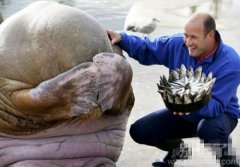 不要看人家了啦! 不要看人家了啦!