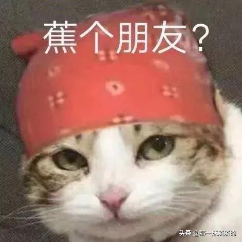 “给男朋友发几张图，他竟把我举报了”网友：堪称道德界楷模哈哈