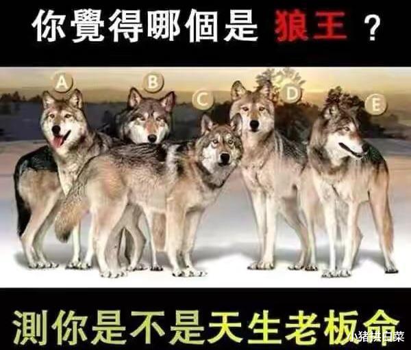 “妹子,别在卧室里乱发自拍了,身后的东西被人看见多尴尬啊”哈哈哈哈 “妹子,别在卧室里乱发自拍了,身后的东西被人看见多尴尬啊”哈哈哈哈