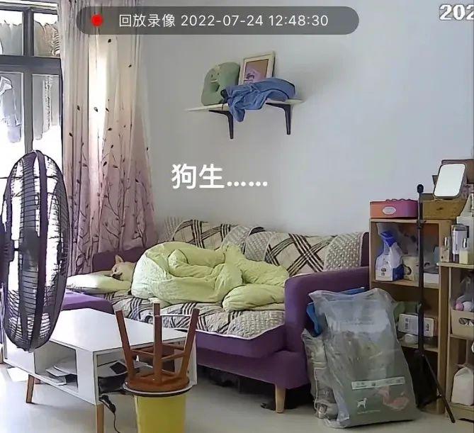 突然get了夸奖的艺术!哈哈哈我好像悟到了 突然get了夸奖的艺术!哈哈哈我好像悟到了