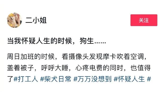突然get了夸奖的艺术!哈哈哈我好像悟到了 突然get了夸奖的艺术!哈哈哈我好像悟到了