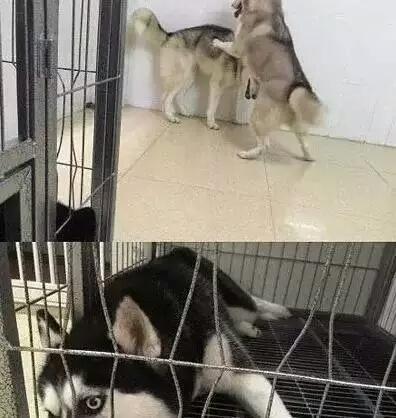 你们考虑过我的感受吗 你们考虑过我的感受吗