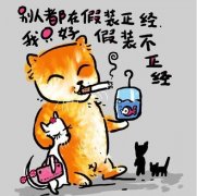 流浪猫的幽默日记 流浪猫的幽默日记