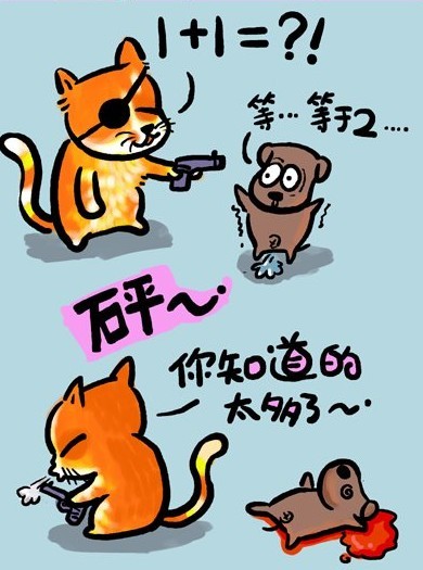 流浪猫的人生感悟