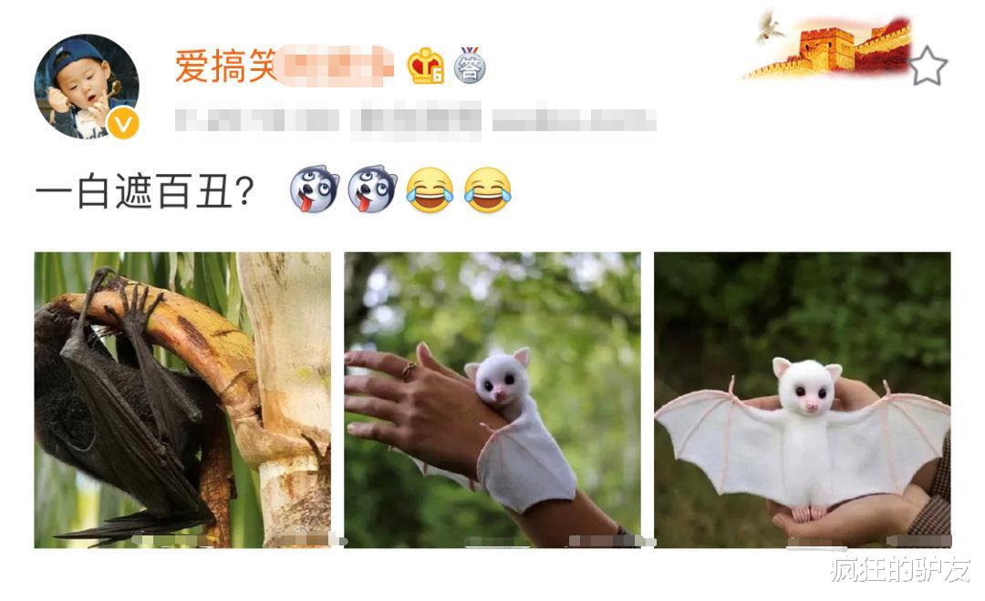 “有哪些女生有了男朋友之后才知道的事情?”哈哈哈哈一个单身狗看得脸红了~ “有哪些女生有了男朋友之后才知道的事情?”哈哈哈哈一个单身狗看得脸红了~