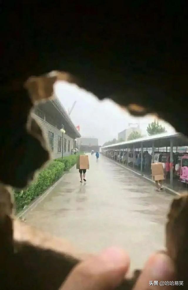 女同事说她电脑无法开机,我一看,她把显示器给抱来维修了 女同事说她电脑无法开机,我一看,她把显示器给抱来维修了