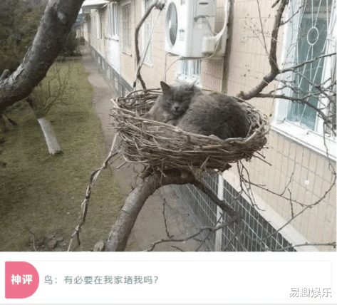 “媳妇聚会回来,手和膝盖摔成这样了。”网友的评论太皮了吧哈哈哈哈 “媳妇聚会回来,手和膝盖摔成这样了。”网友的评论太皮了吧哈哈哈哈