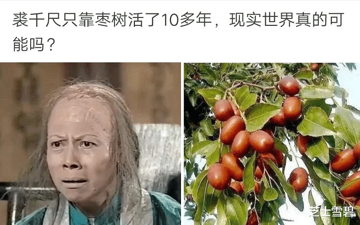 “裘千尺只靠枣树活了10多年,现实世界真的可能吗?”哈哈哈哈这么较真? “裘千尺只靠枣树活了10多年,现实世界真的可能吗?”哈哈哈哈这么较真?