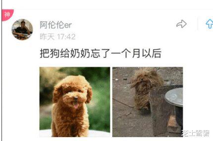 “裘千尺只靠枣树活了10多年,现实世界真的可能吗?”哈哈哈哈这么较真? “裘千尺只靠枣树活了10多年,现实世界真的可能吗?”哈哈哈哈这么较真?