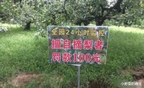 “伴娘怕抢了新娘风头,躲在角落里玩手机!”哈哈哈哈,这是我的! “伴娘怕抢了新娘风头,躲在角落里玩手机!”哈哈哈哈,这是我的!