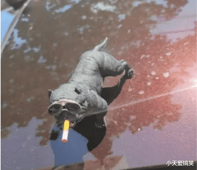 “现在的女生都这么开放了吗?穿透明装出门?”哈哈哈大爷眼神亮了... “现在的女生都这么开放了吗?穿透明装出门?”哈哈哈大爷眼神亮了...