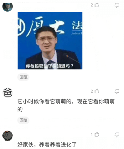 “买了个壁虎,为啥越长越大了......”哈哈哈哈哈哈基因变异? “买了个壁虎,为啥越长越大了......”哈哈哈哈哈哈基因变异?