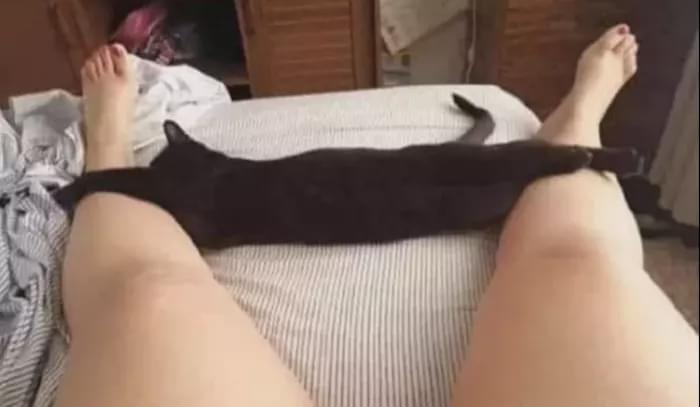 “有个好色的女朋友是种什么体验?”哈哈哈哈一直在路上从没下过车! “有个好色的女朋友是种什么体验?”哈哈哈哈一直在路上从没下过车!