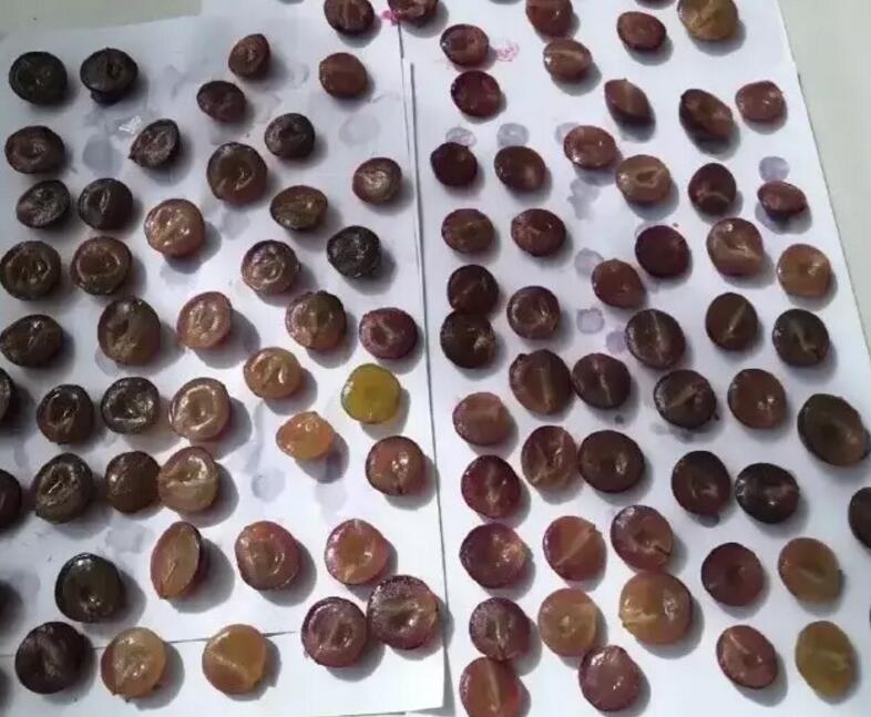 “天不亮你就叫,我让你再叫啊!”跟人沾边的事一点也不干... “天不亮你就叫,我让你再叫啊!”跟人沾边的事一点也不干...
