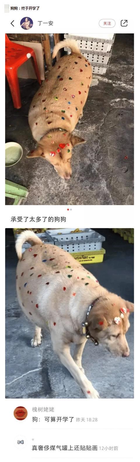 火车上的妹子怎么这么随便？这让我怎么睡得着？哈哈哈哈