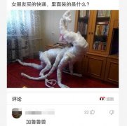 “女朋友买的快递，看这形状，大家猜猜里面装的是什么吧”哈哈哈哈哈