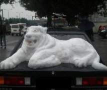 才人辈出的节奏啊