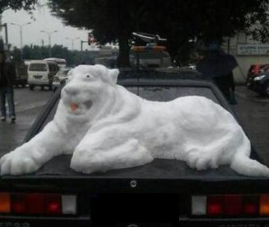 才人辈出的节奏啊