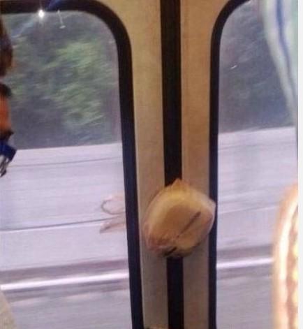 人没上来 人没上来