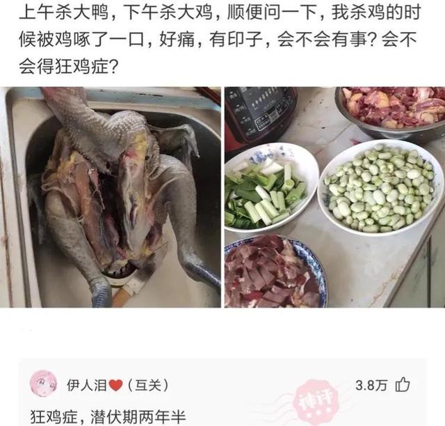 神回复:自从买了这辆摩托车,再也没有人敢开远光灯了,吓死你们 神回复:自从买了这辆摩托车,再也没有人敢开远光灯了,吓死你们