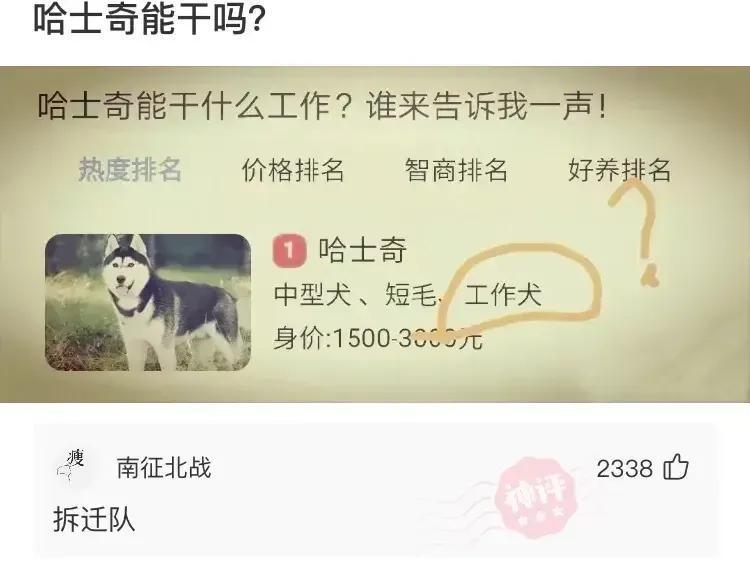 “如果我把日本东京炸了,祖国会不会保护我呢?”评论绝了 “如果我把日本东京炸了,祖国会不会保护我呢?”评论绝了