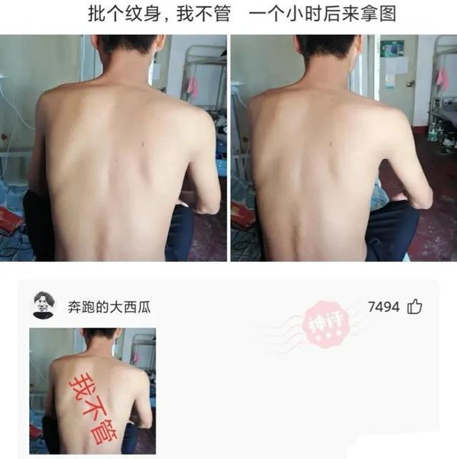 爆笑神评:以后再也不在农村开远光灯,面面相觑真尴尬,神评笑死 爆笑神评:以后再也不在农村开远光灯,面面相觑真尴尬,神评笑死