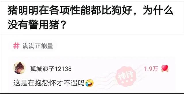 爆笑神评:以后再也不在农村开远光灯,面面相觑真尴尬,神评笑死 爆笑神评:以后再也不在农村开远光灯,面面相觑真尴尬,神评笑死