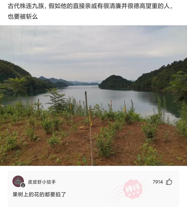 爆笑神评：以后再也不在农村开远光灯，面面相觑真尴尬，神评笑死