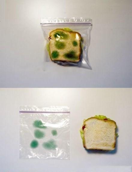 自从用了这个袋子,我的夹心面包安全了 自从用了这个袋子,我的夹心面包安全了