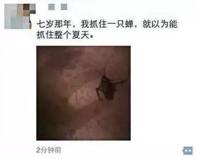 别什么都晒到朋友圈!哈哈哈哈哈笑出猪叫 别什么都晒到朋友圈!哈哈哈哈哈笑出猪叫