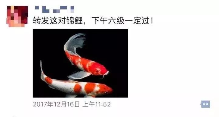 别什么都晒到朋友圈!哈哈哈哈哈笑出猪叫 别什么都晒到朋友圈!哈哈哈哈哈笑出猪叫