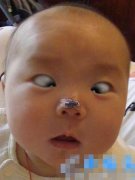 可恶的熊孩子!! 可恶的熊孩子!!