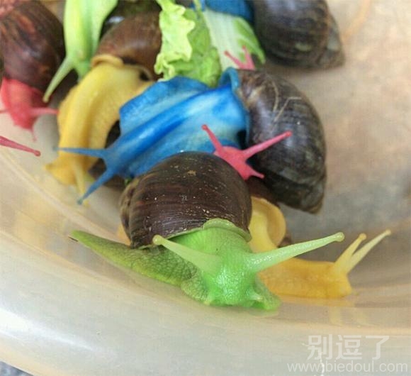 做出来的七彩蜗牛。