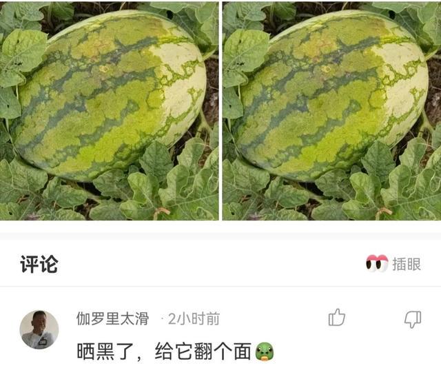 神回复,全国最低调的是哪个地方的人? 神回复,全国最低调的是哪个地方的人?