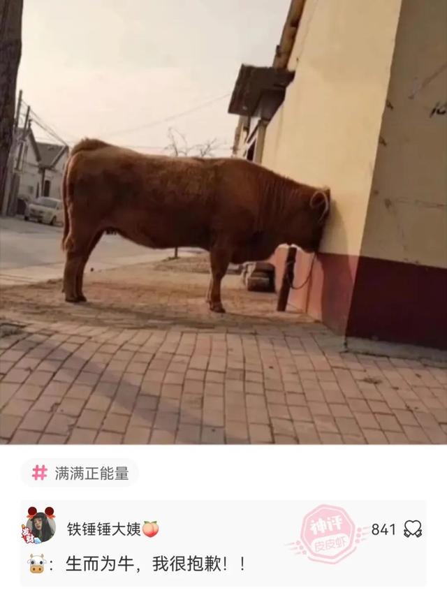神回复,全国最低调的是哪个地方的人? 神回复,全国最低调的是哪个地方的人?
