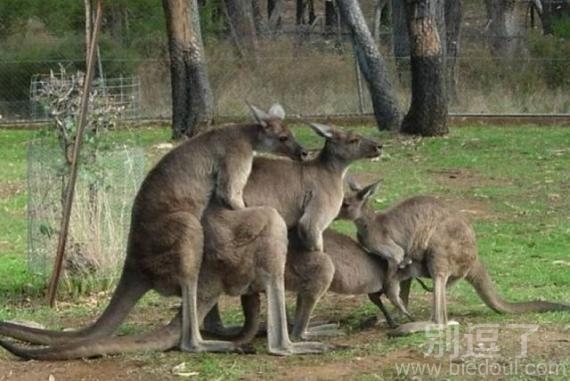 太TM禽兽了！这是多少P啊