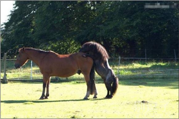 敢想敢做 联想--只要你想