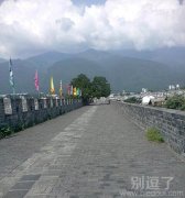 长在路边的大树。 长在路边的大树。