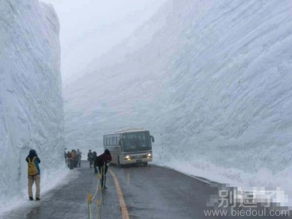 大雪封山,满路是冰呀 大雪封山,满路是冰呀