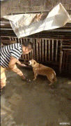 “冒死问女朋友安全裤里穿内裤吗？结果......”哇哈哈哈哈～