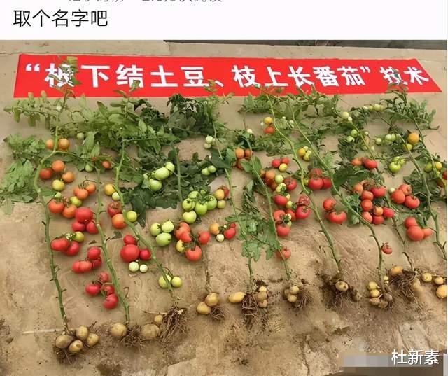 “这是女友出差发来的照片,老爸看后劝我分手”到底怎么了呢 “这是女友出差发来的照片,老爸看后劝我分手”到底怎么了呢