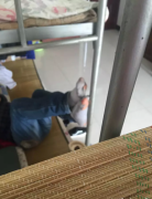 舍友的袜子亮了 舍友的袜子亮了