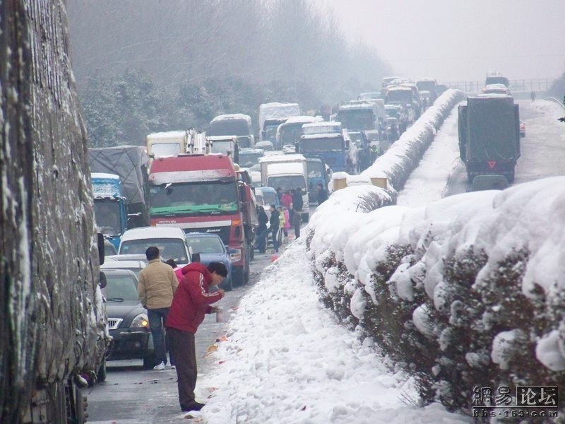 雪灾图片