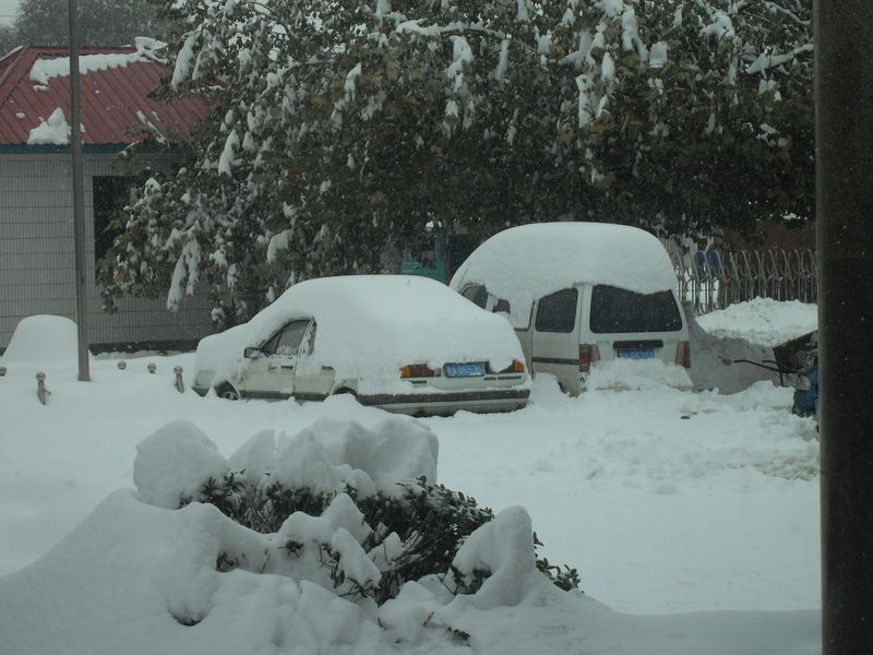 雪灾图片