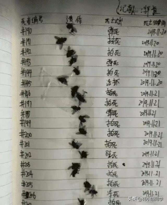 打算和男友分手的,无意间发现了他的日记,现在不敢了!哈哈哈 打算和男友分手的,无意间发现了他的日记,现在不敢了!哈哈哈